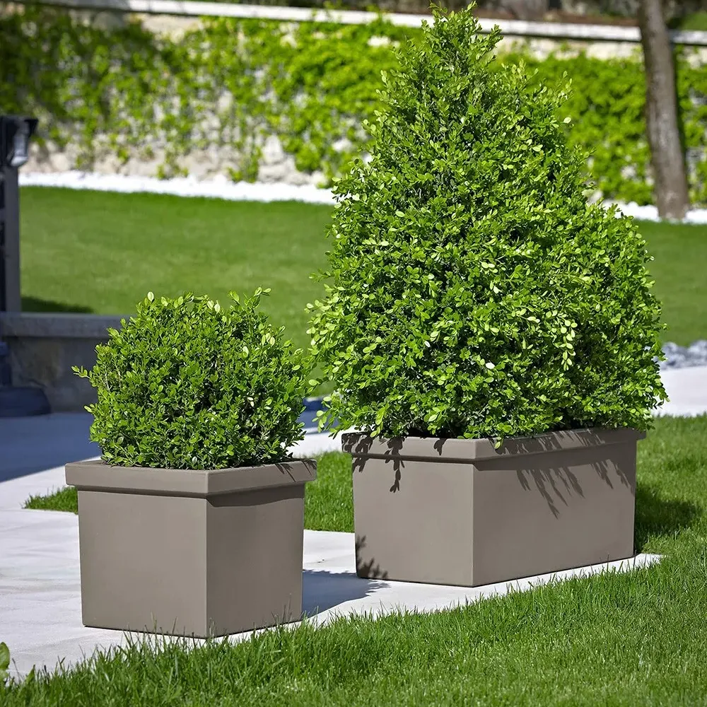 SIEPI Pflanzkasten in Anthrazit im Vorgarten