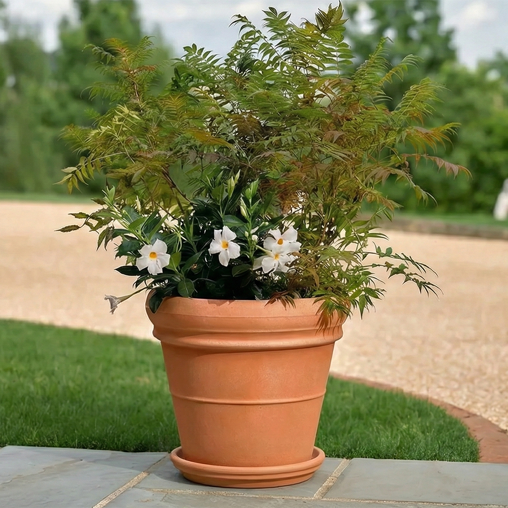 DOPPIO BORDO Untersetzer