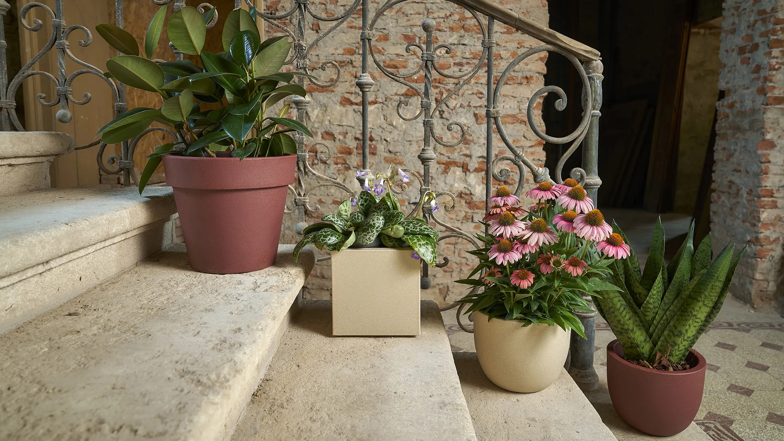 Schauraum Übersicht