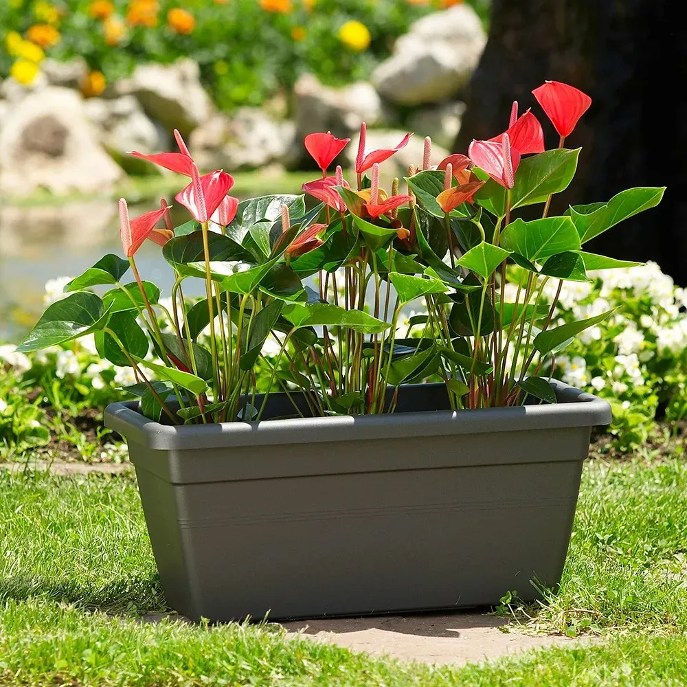 AKEA Pflanzgefäß in Anthrazit mit Blühpflanzen im Außenbereich