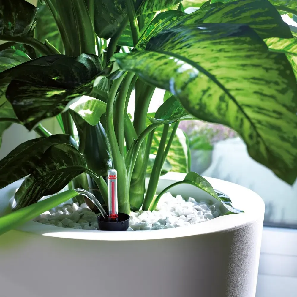 BEWÄSSERUNGSSYSTEM RUND