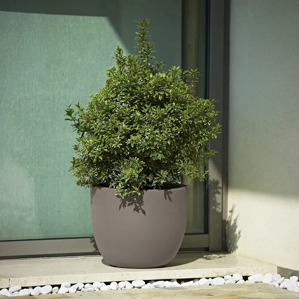 ETRIA Pflanzentopf mit kleinem Baum auf großzügiger Terrasse