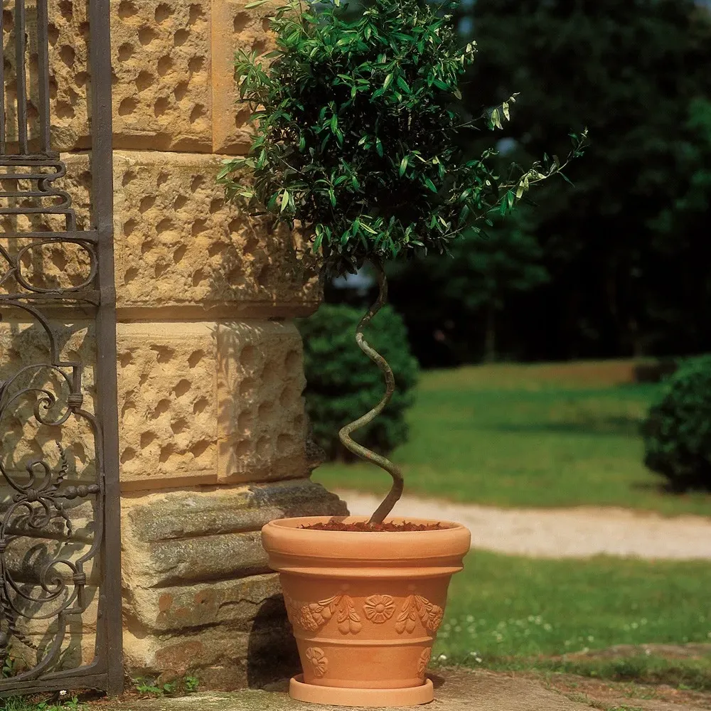 FESTONATO Blumentopf mit Relief-Muster auf sonniger Terrasse