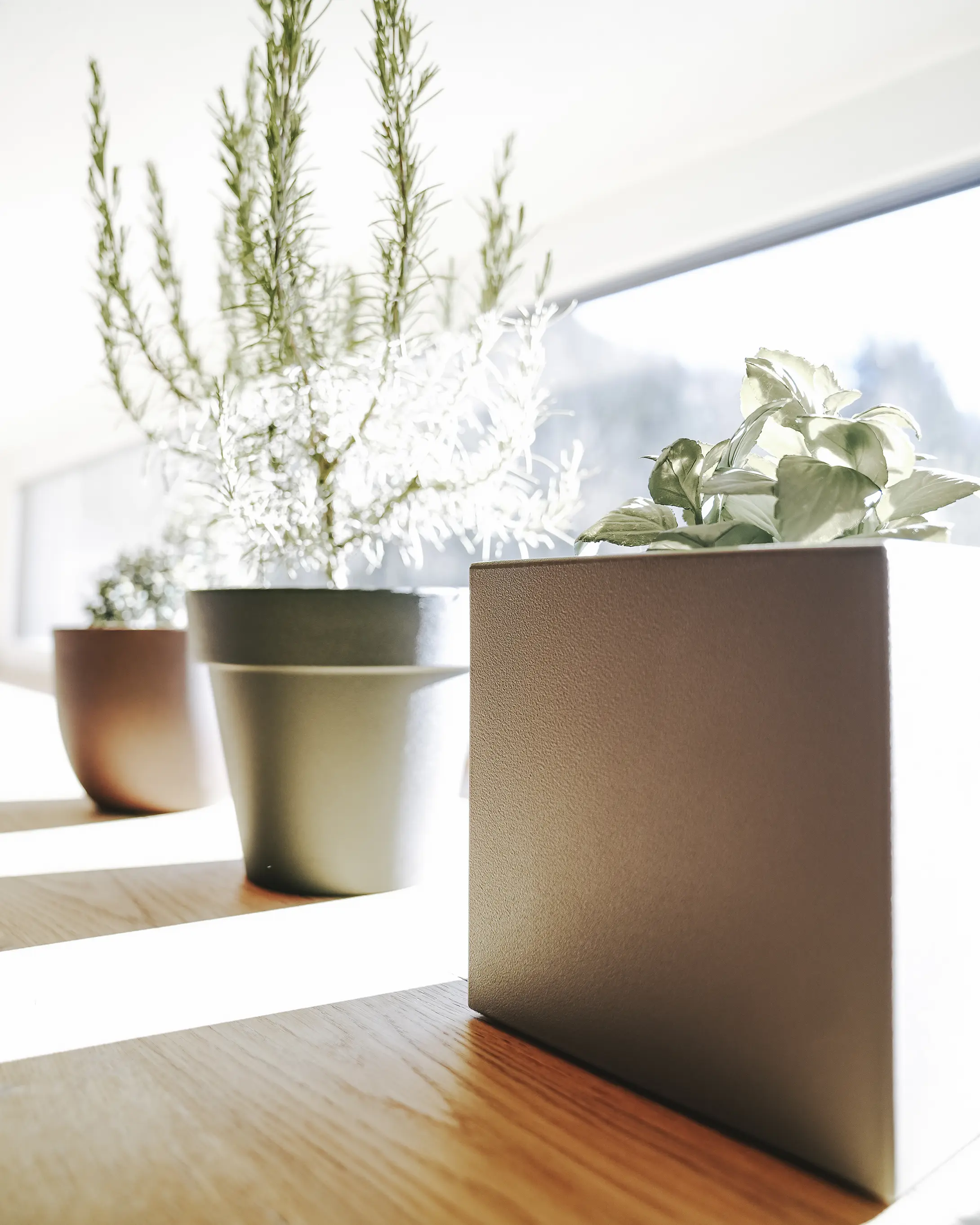 Qualität Pflanzgefäße