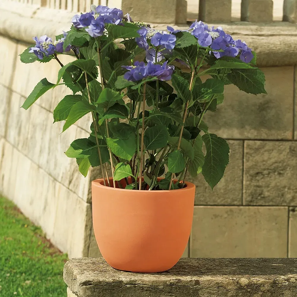 ETRIA Pflanzentopf in Terra di siena mit Ziergras auf sonniger Terrasse