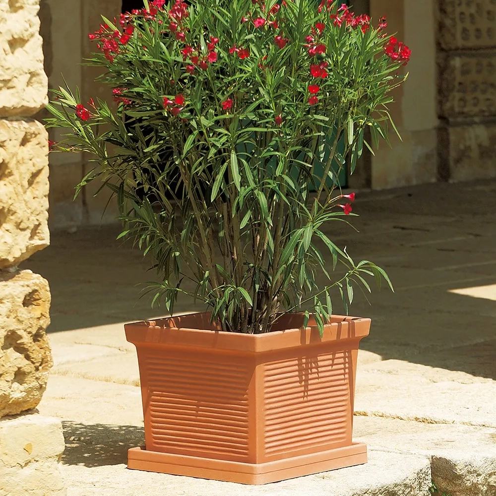 euro3plast MILLERIGHE Pflanzkübel quadratisch