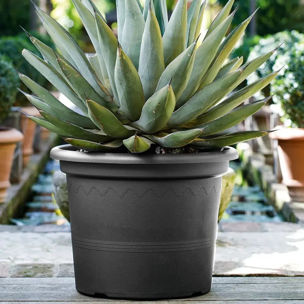 GEO Pflanzgefäß mit mediterranen Pflanzen auf Terrasse