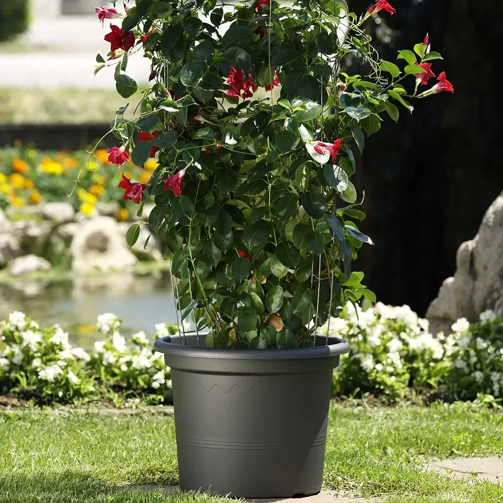 GEO Pflanzkübel in Anthrazit mit Ziergras im Garten, neben Teich.