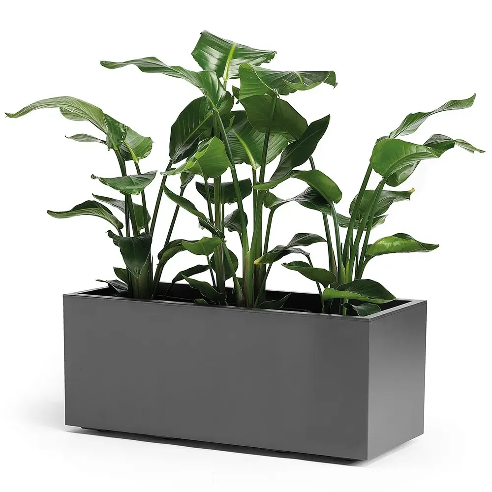 KEBE ECO mit feststellbaren Rollen in Anthrazit.