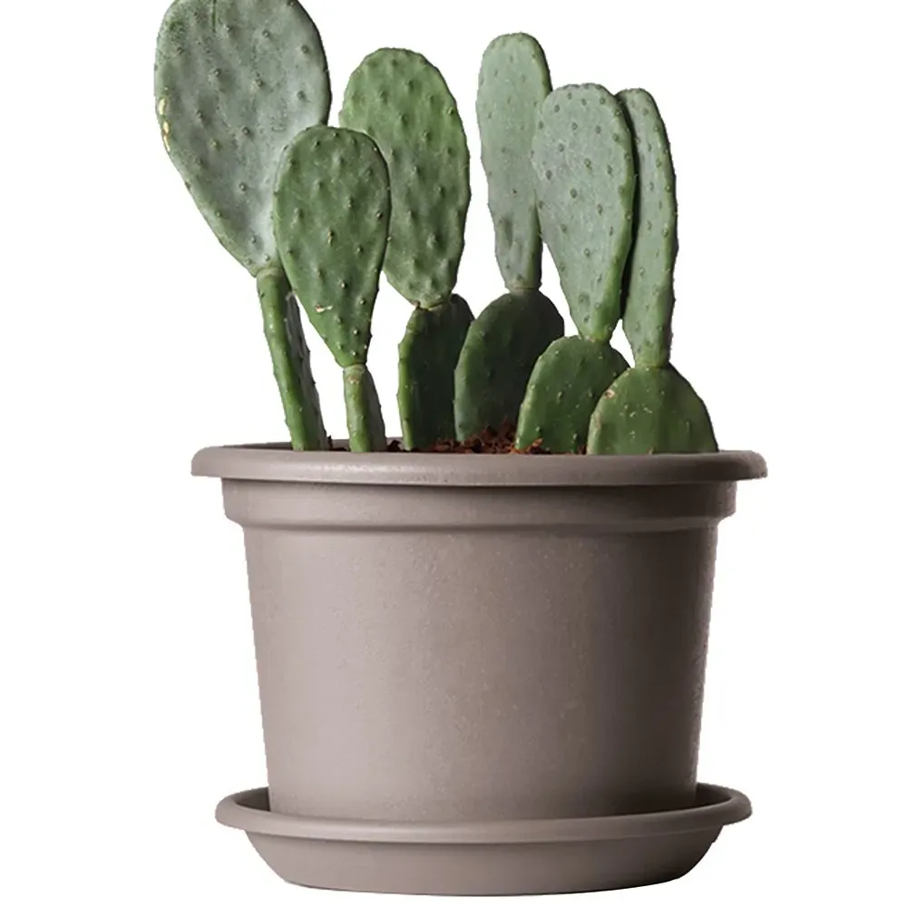 Detailaufnahme der Oberfläche des ECO GUYA aus Recyclingmaterial