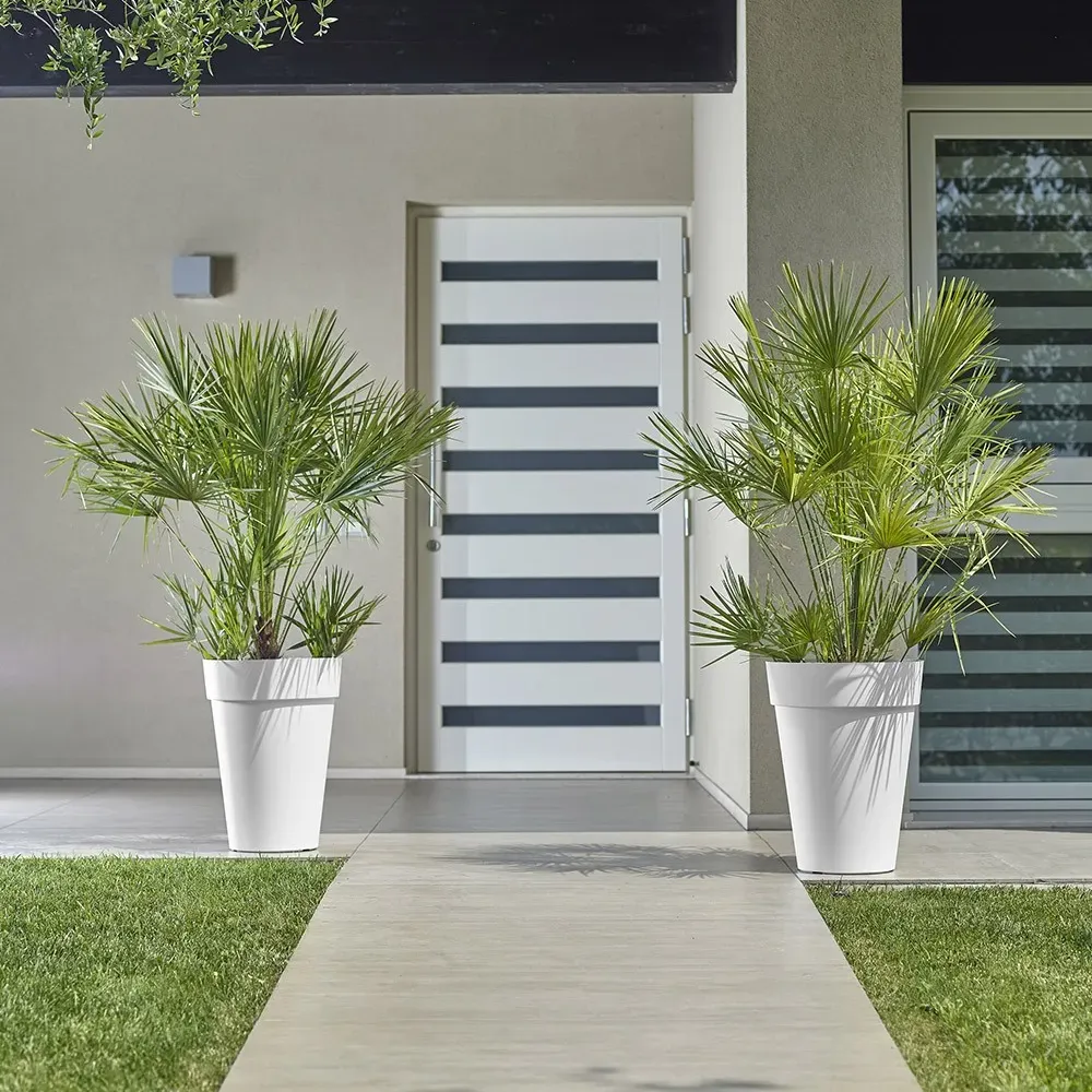 Hoher LIKEN Pflanztopf mit Palme im Eingangsbereich