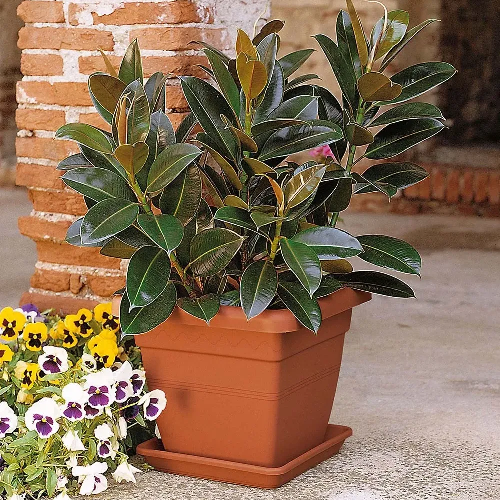 Großer KREA Pflanzkübel in Terracotta, im Eingangsbereich